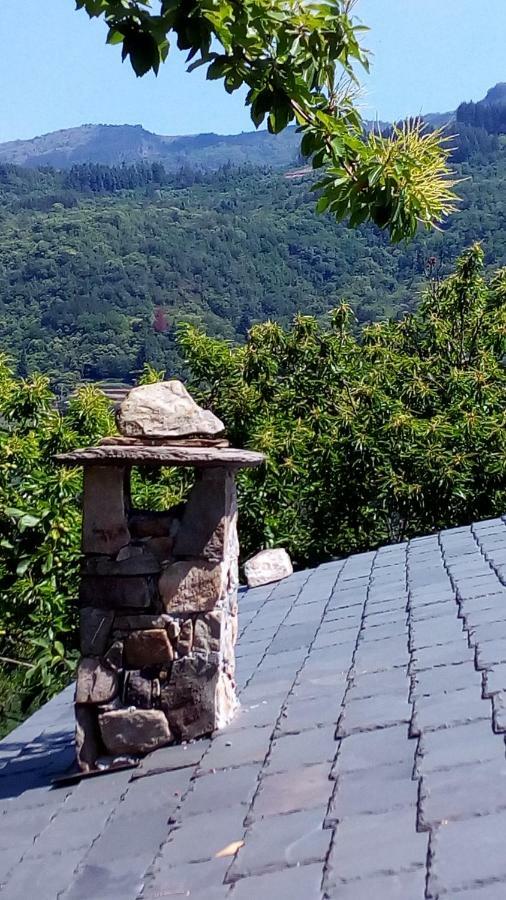 Casa Millin Appartement Borzonasca Buitenkant foto